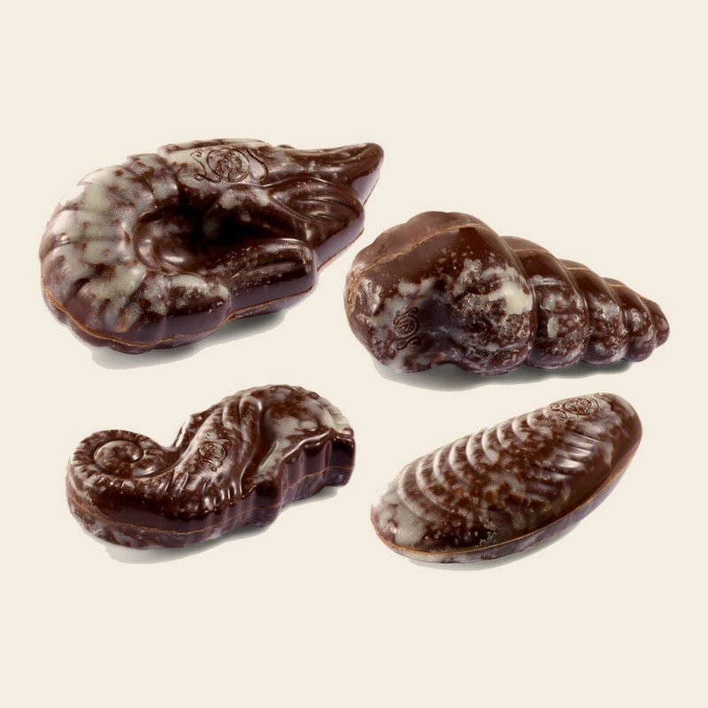 Leonidas Seashells